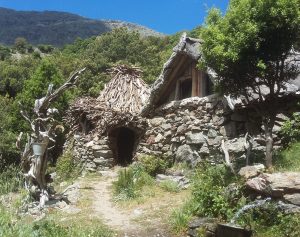 YOGA E MEDITAZIONE INTO THE WILD