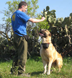 Alla Ricerca dello Scrigno Interiore – L’EDUCAZIONE DEL CANE TRA MITO E REALTA’