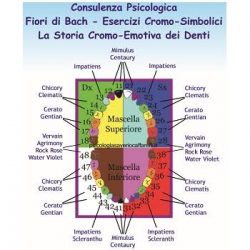 CONSULENZA BREVE CROMO-DENTOSOFIA E FIORI DI BACH