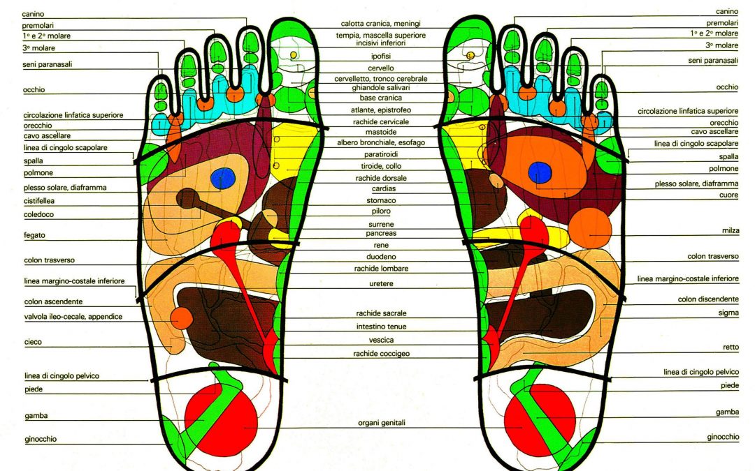 Corso Pratico di Riflessologia Plantare