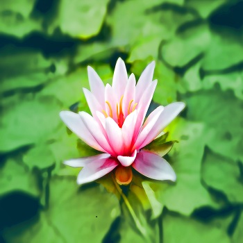 CORSO DI MEDITAZIONE E CRESCITA PERSONALE