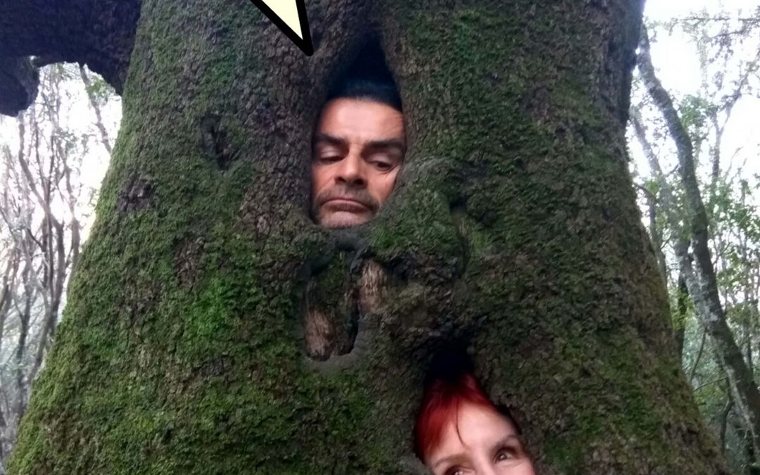 INDOSSA UN ALBERO!