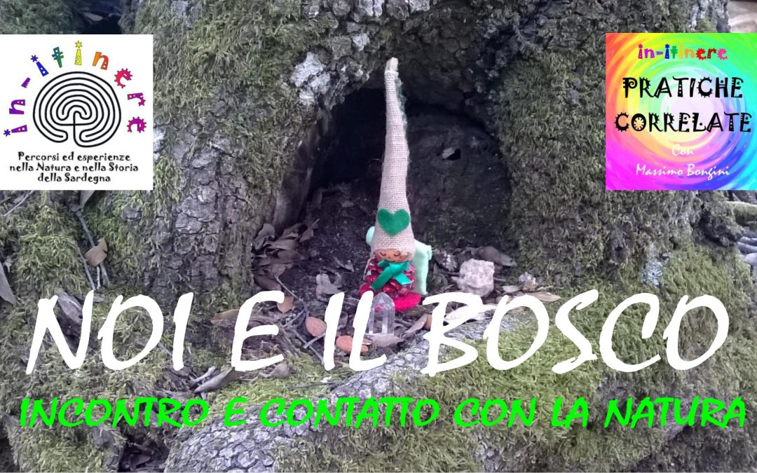 NOI E IL BOSCO