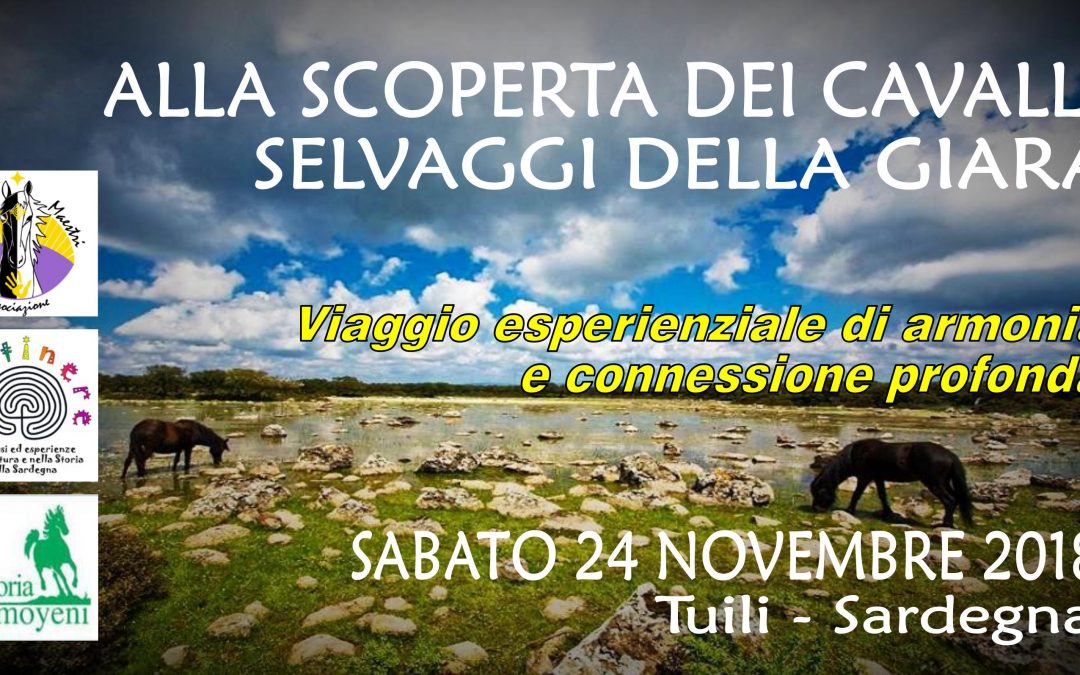 I CAVALLI SELVAGGI DELLA GIARA