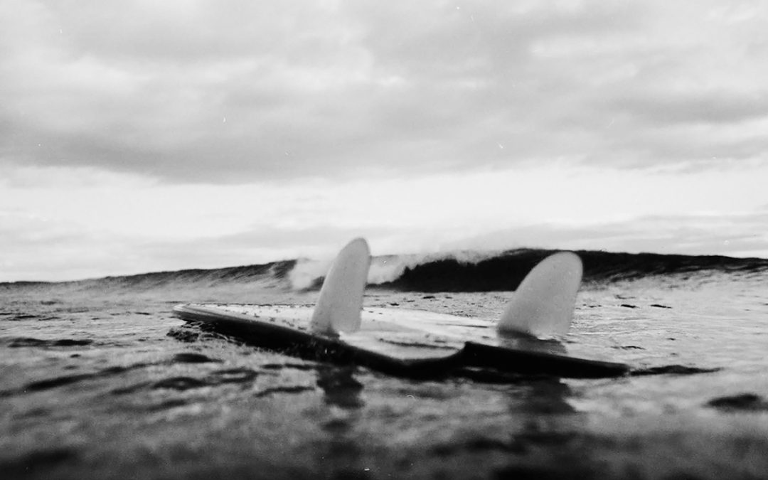 IL MARE E L’ANALOGICA
