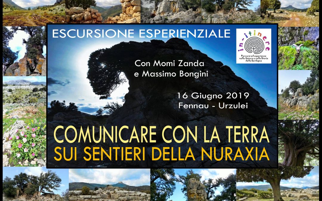 COMUNICARE CON LA TERRA