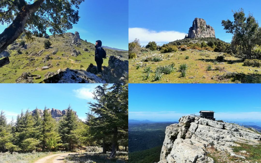 FORESTA DI MONTES – ORGOSOLO