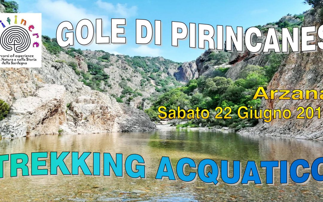 GOLE DI PIRINCANES