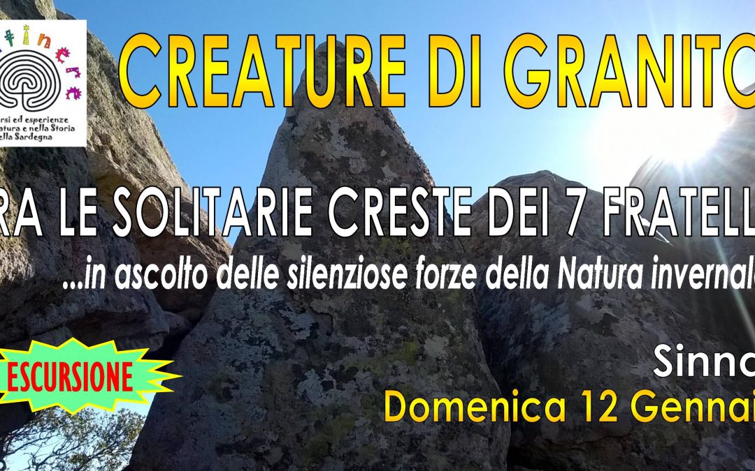 CREATURE DI GRANITO