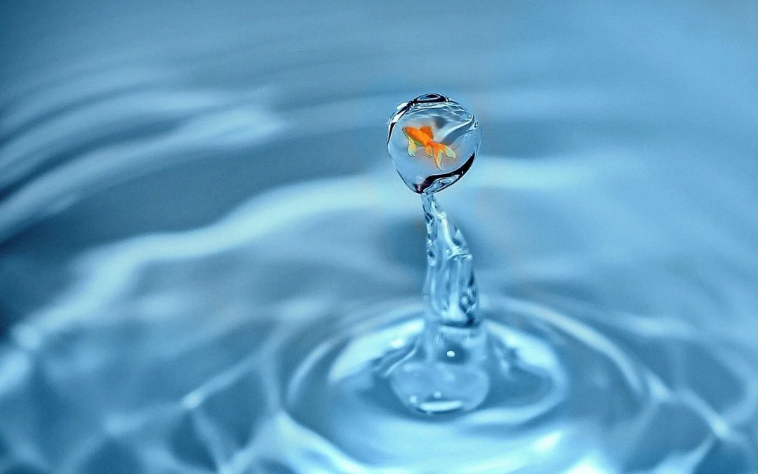 Le Cose Come Stanno – OLTRE IL CONOSCIUTO