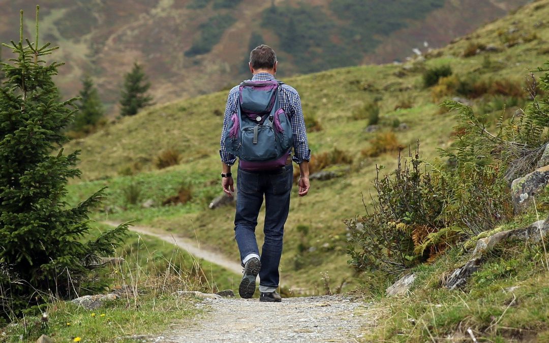 In Viaggio verso Casa – IL SENTIERO