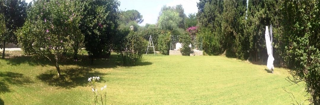 OPEN DAY NELLA NATURA Operatori Olistici insieme