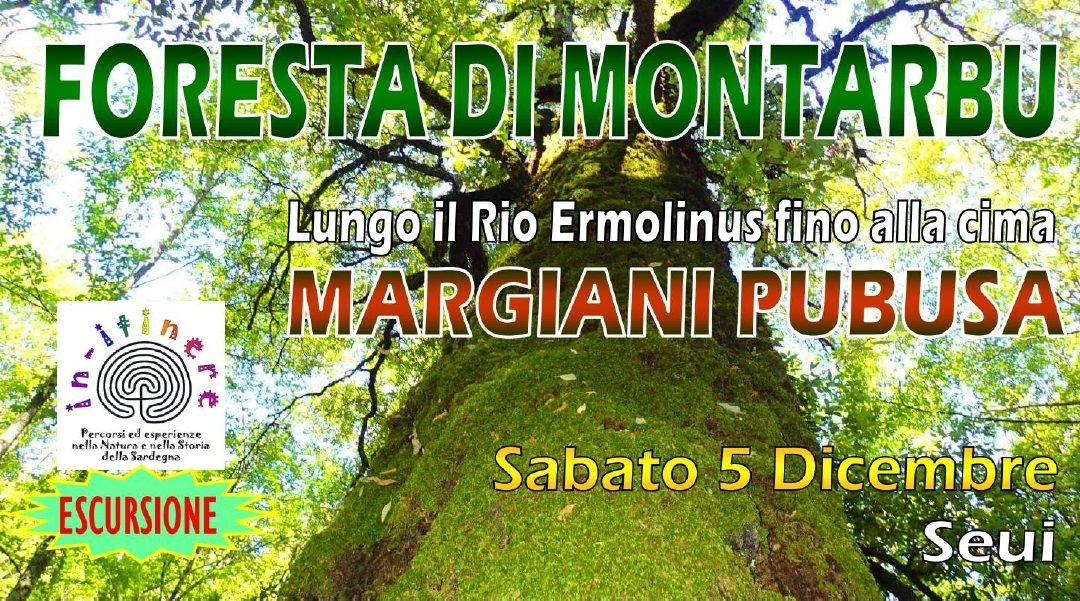 FORESTA DI MONTARBU – Lungo il Rio Ermolinus fino alla cima Margiani Pubusa