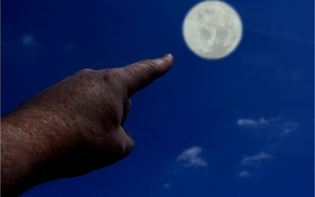 Il dito e la luna