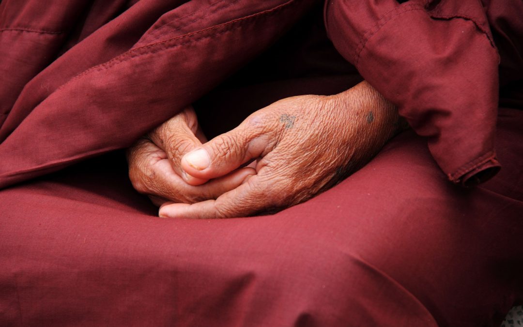Lascia fare alla Vita