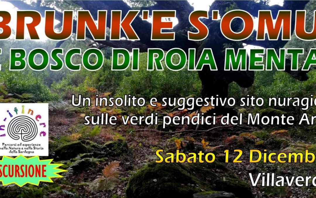 BRUNK’E S’OMU – e Bosco di Roia Menta