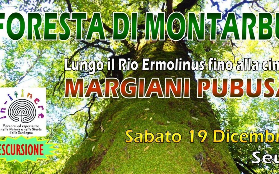FORESTA DI MONTARBU – Lungo il Rio Ermolinus fino alla cima MARGIANI PUBUSA