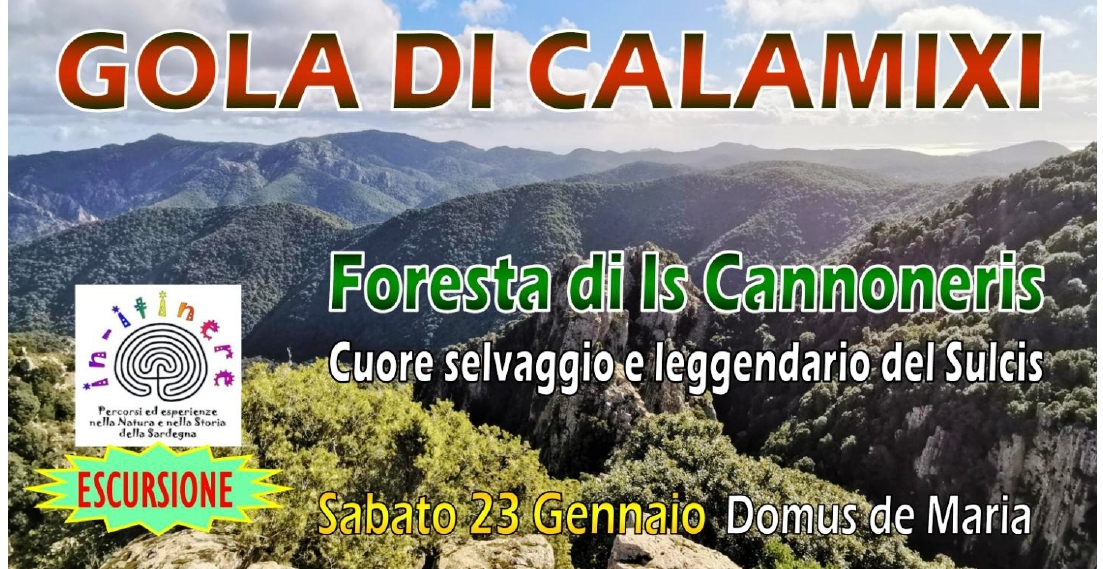 SCHEDA Calamixi banner