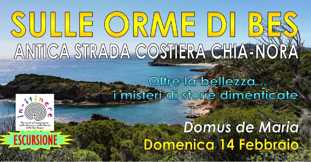 Banner Chia-Nora