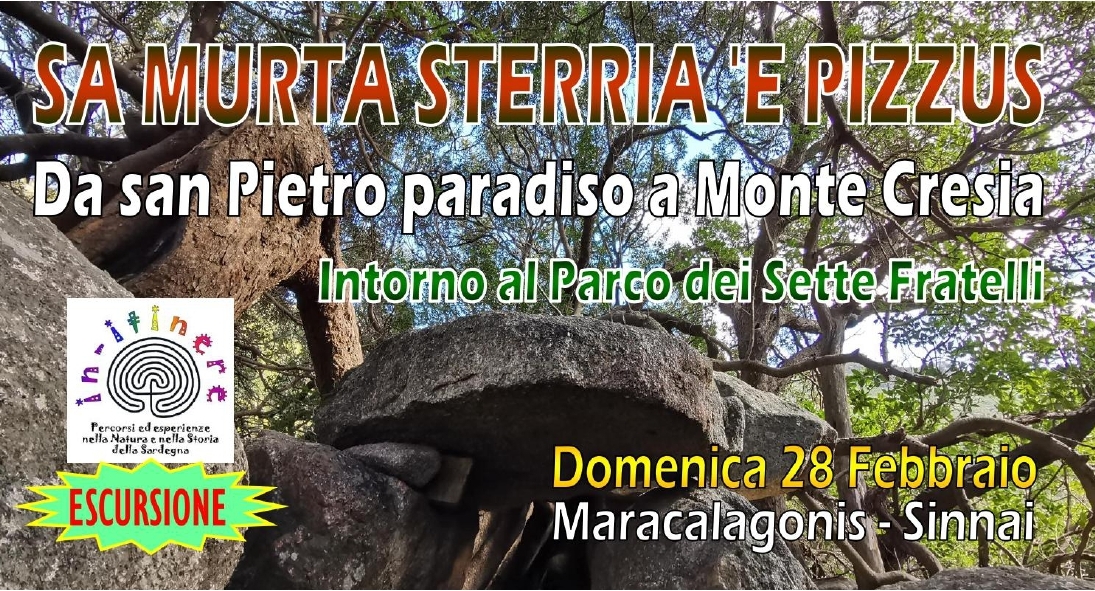 SCHEDA Murta Sterria