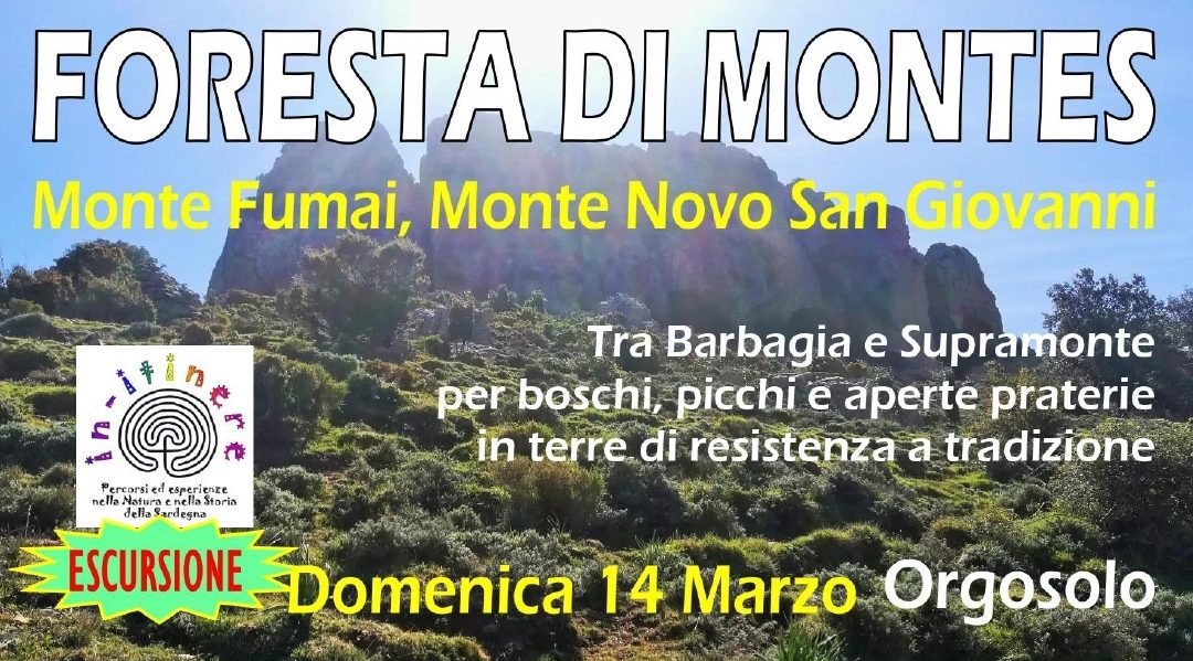 FORESTA DI MONTES Monte Fumai, Monte Novo San Giovanni