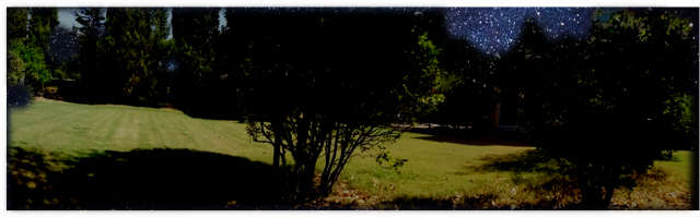 meditazione sotto le stelle giardino meditazione sotto le stelle giardino
