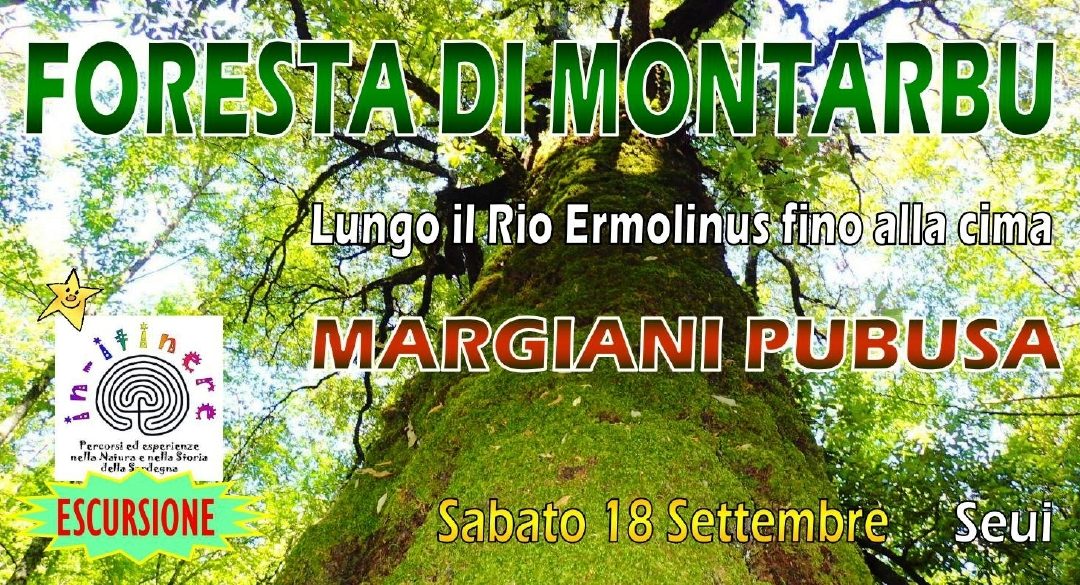 FORESTA DI MONTARBU