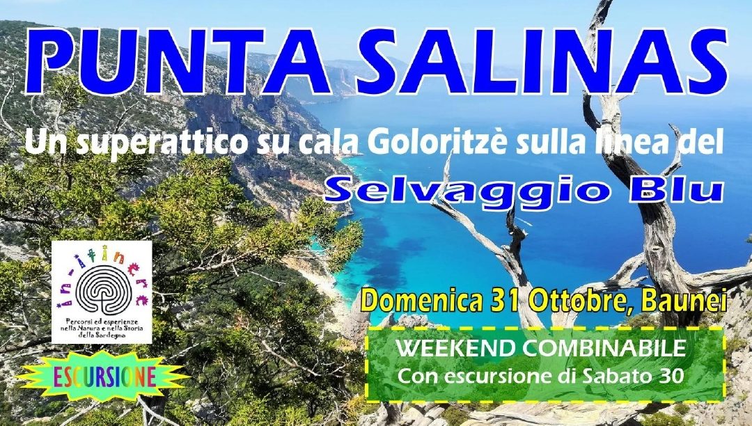 PUNTA SALINAS – Un superattico su Cala Goloritzè sulla linea del Selvaggio Blu