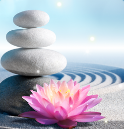 imagen-zen-live-wallpaper-0big imagen-zen-live-wallpaper-0big