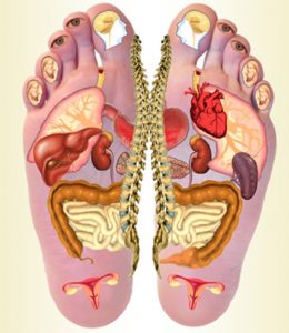 86_Poster-Riflessologia-Plantare-gratis_4239 (1)
