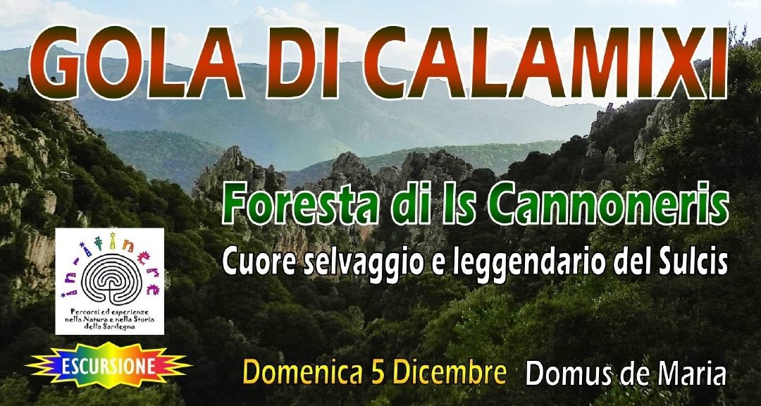 GOLA DI CALAMIXI – Foresta di Is Cannorreis