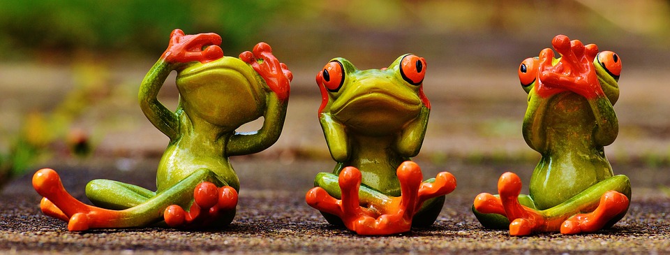 ENGLISH – Learning from within