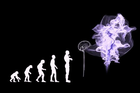 evolution-3885331_1920 (1) evolution-3885331_1920 (1)