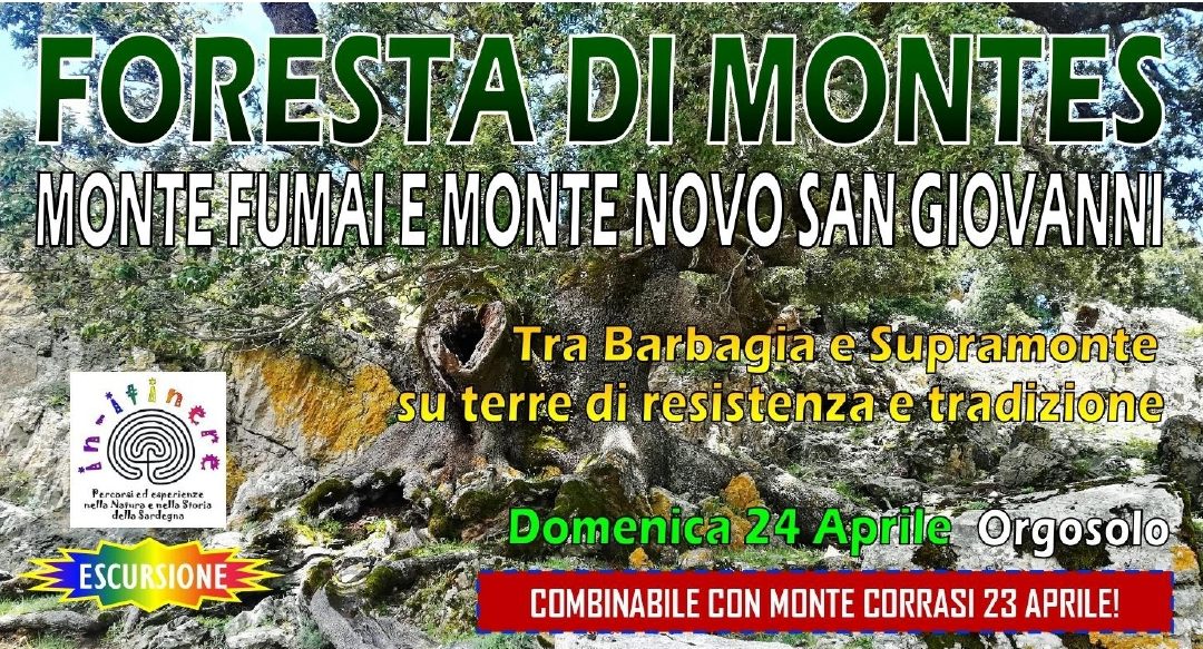FORESTA DI MONTES