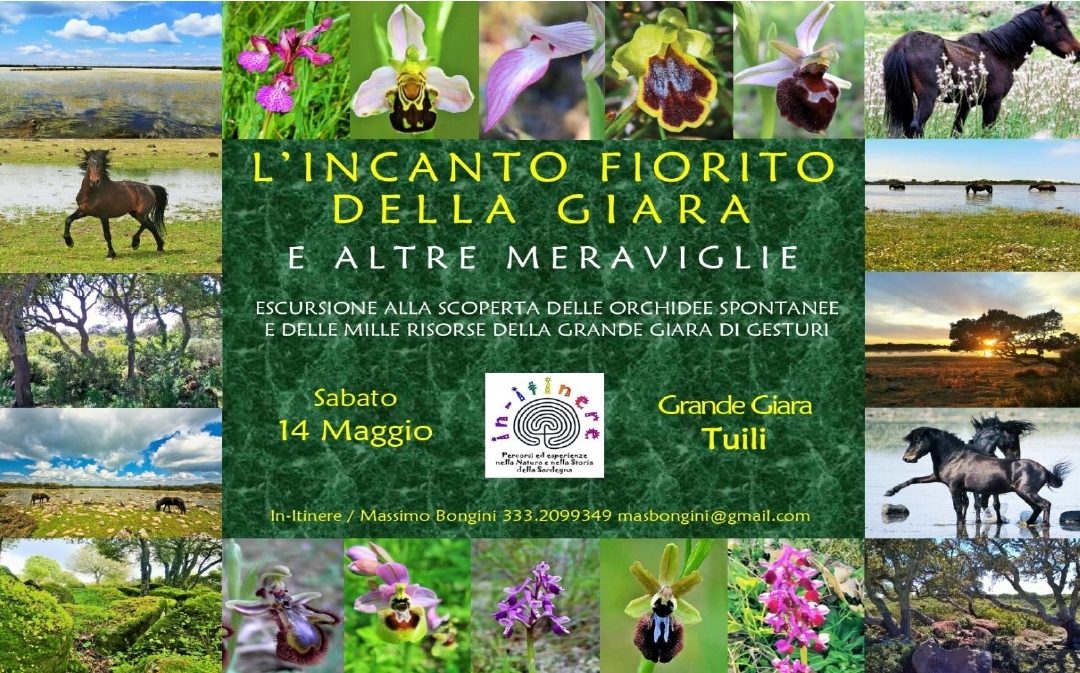 L’INCANTO FIORITO DELLA GIARA e altre meraviglie