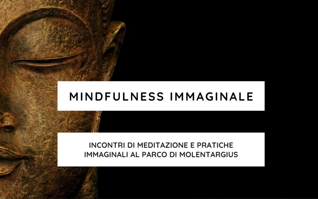 INCONTRI ESTIVI DI MINDFULNESS