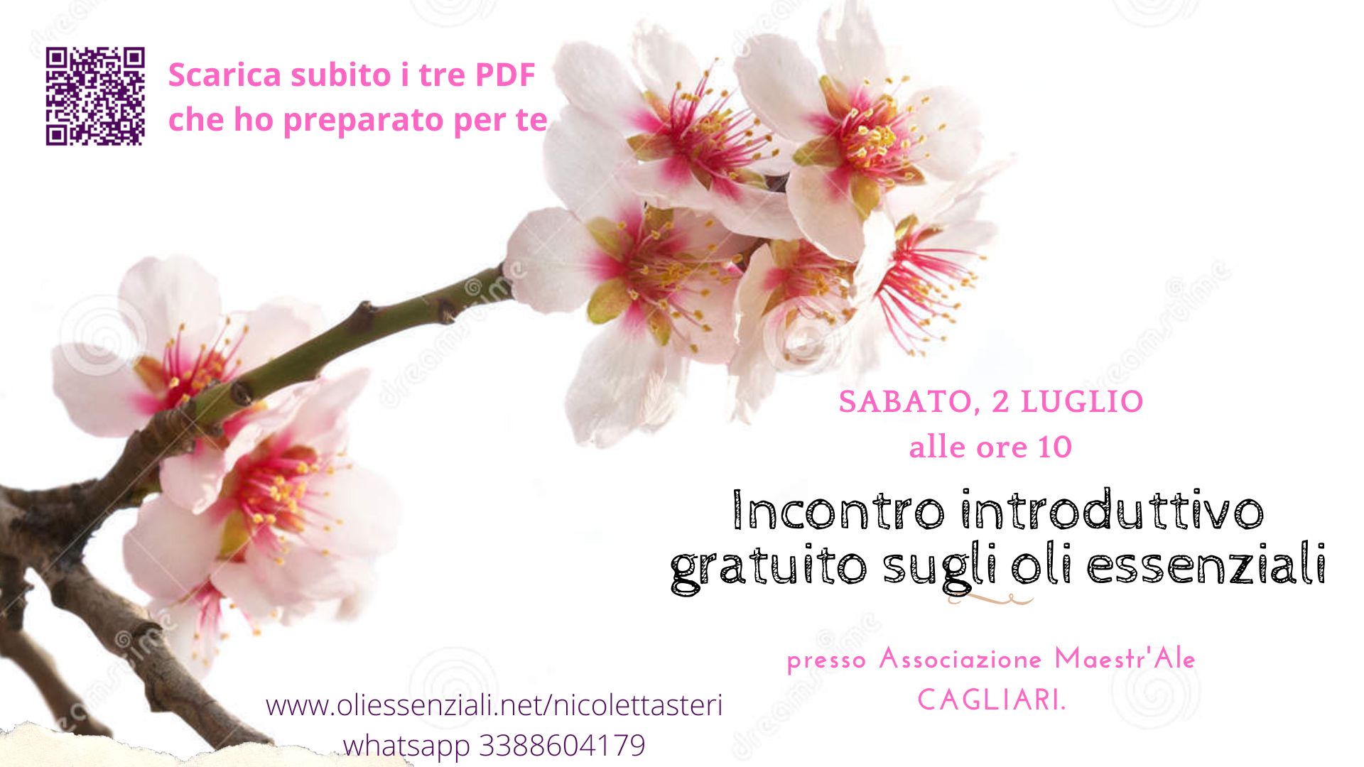 Incontro introduttivo gratuito sugli Oli Essenziali