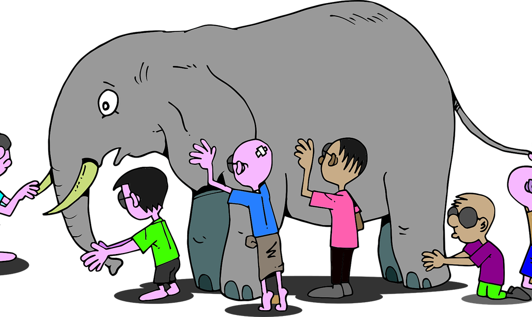 I ciechi e l’elefante