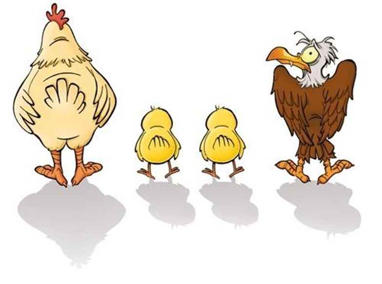 Messaggio per un’Aquila  che si crede un pollo