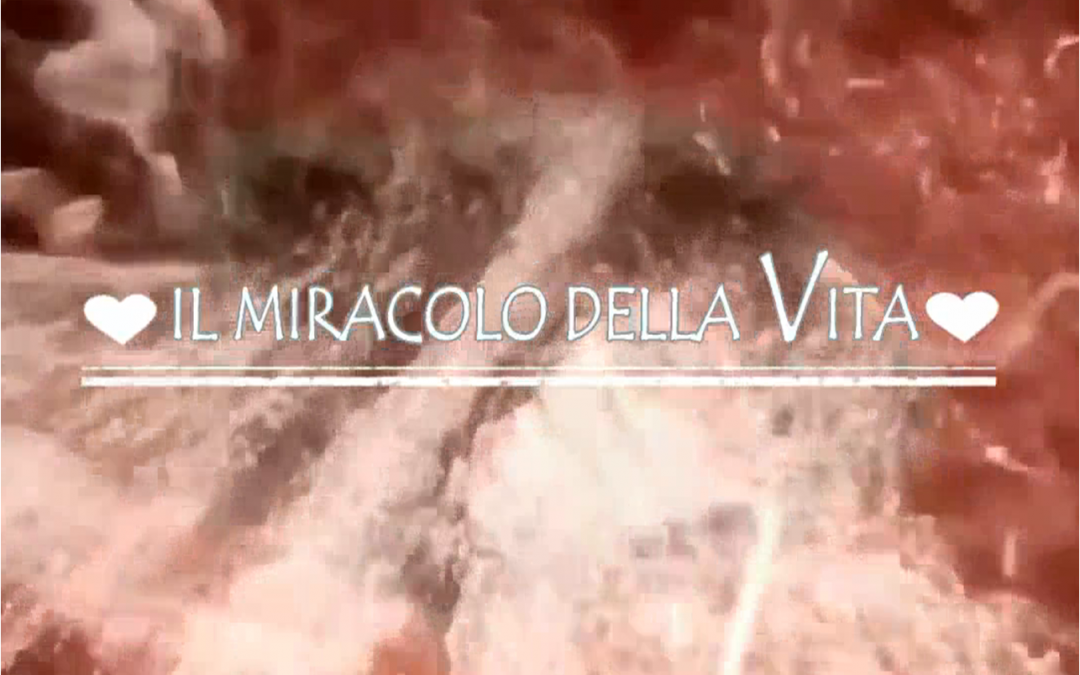 Il Miracolo della Vita