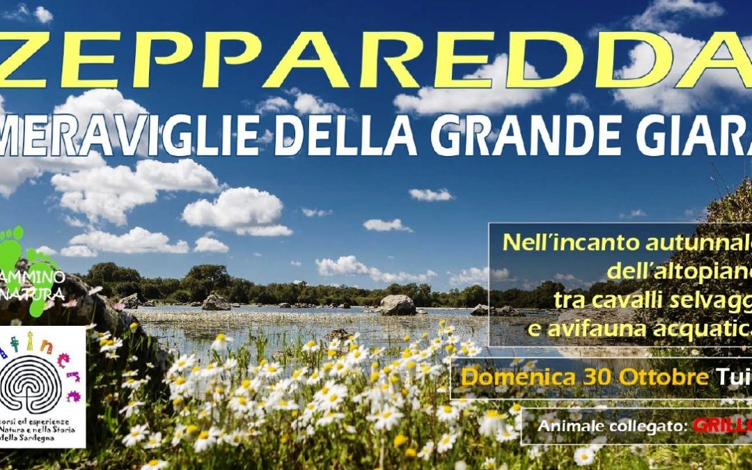 ZEPPAREDDA – Meraviglie della grande Giara