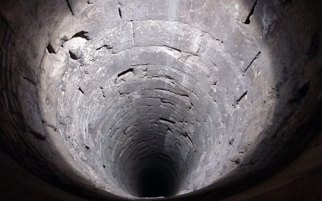 L’allodola e i ranocchi