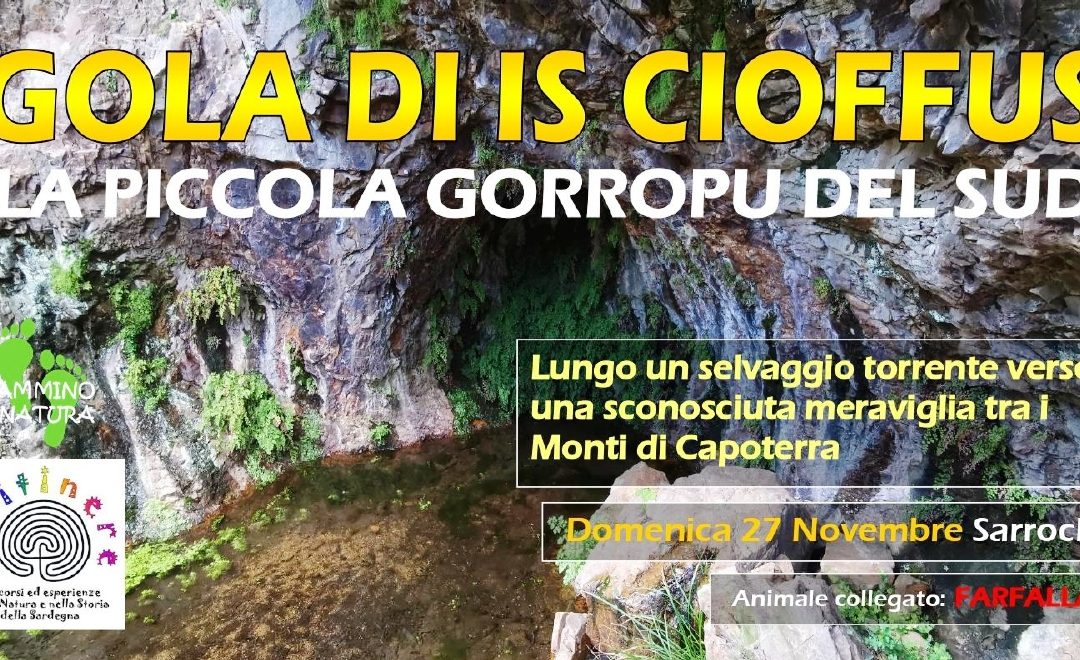 GOLA DI IS CIOFFUS