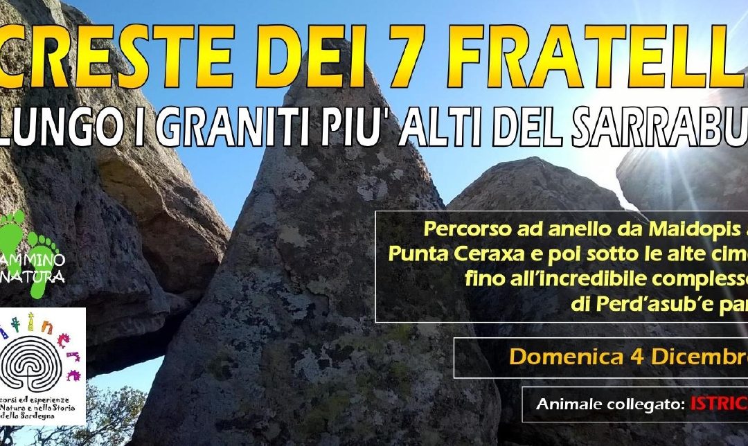 CRESTE DEI 7 FRATELLI