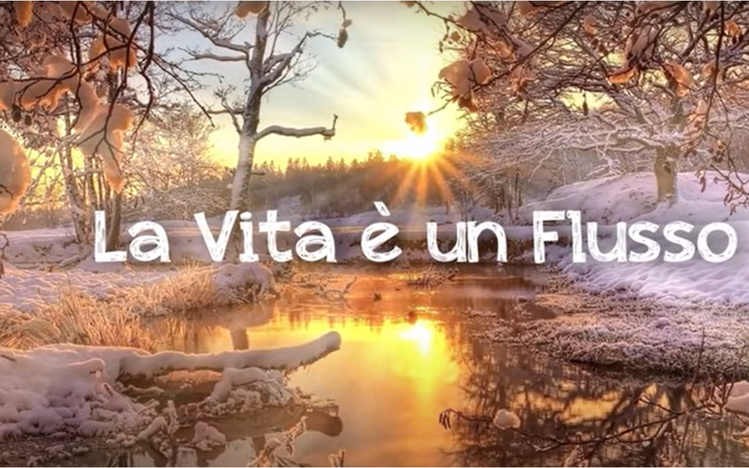 La Vita è flusso