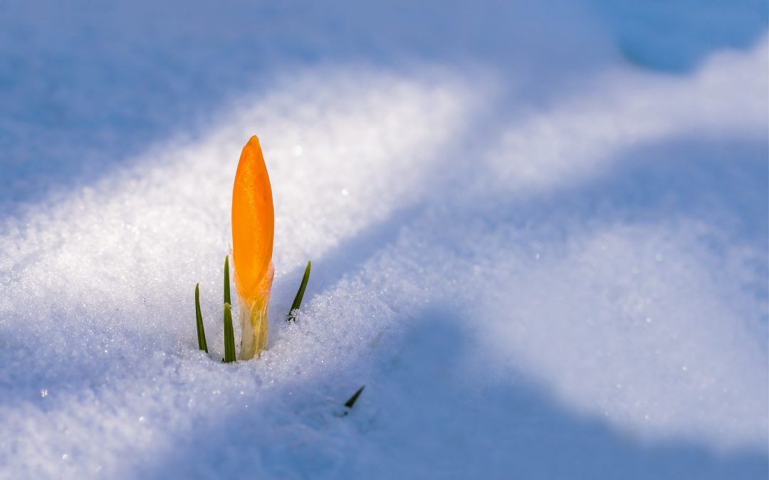 Contastorie – IMPOSSIBILE? FINO A QUANDO?