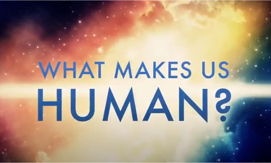 Cosa ci rende umani