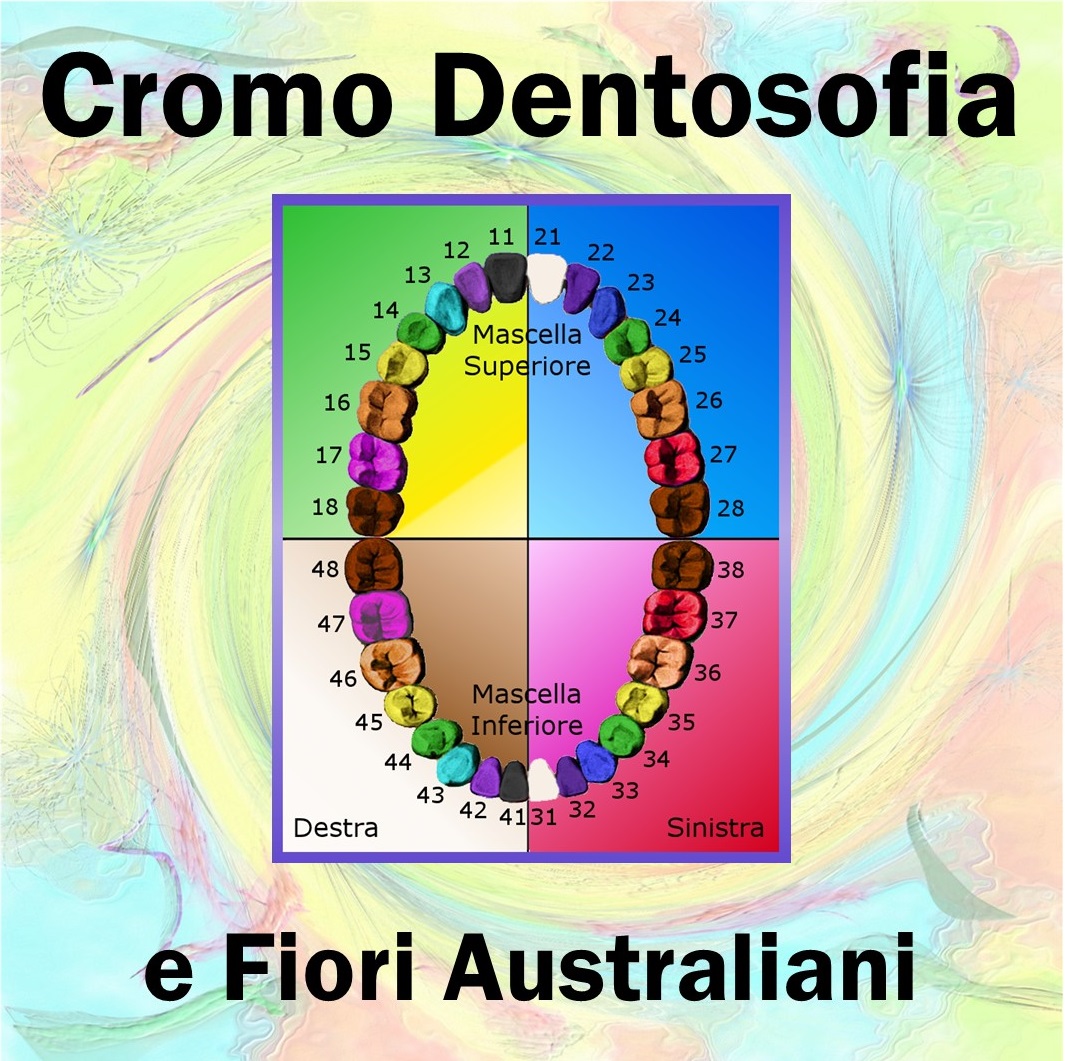 IMM mini x Corso CromoDentosofia e Fiori Australiani