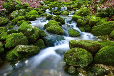 source-2147529_1920 Foto di Leandro Stefani da Pixabay