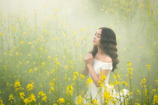 beautiful-flowers-3050078_1920 Image by ThuyHaBich from Pixabay